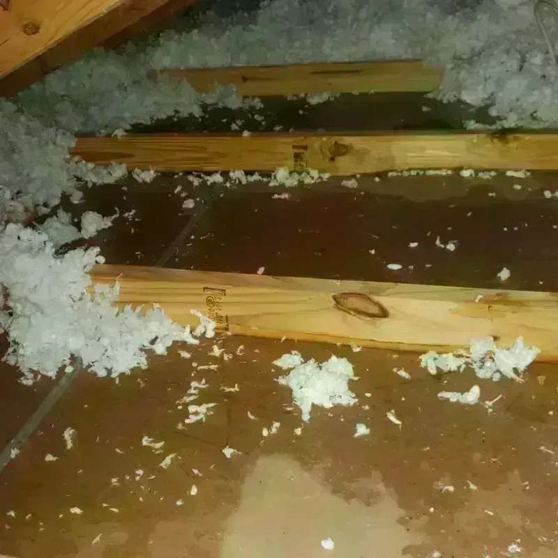 Attic Water Damage in South Point, TX