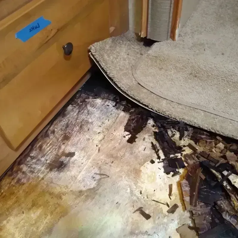 Wood Floor Water Damage in South Point, TX